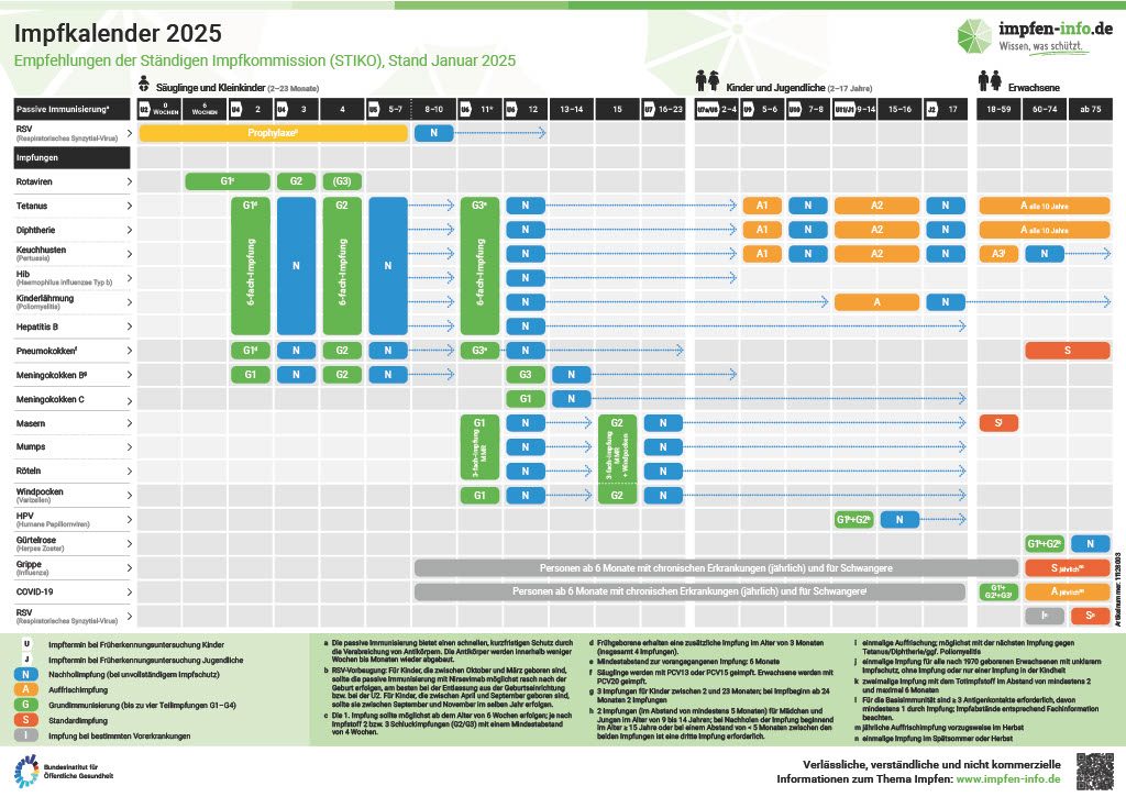 Quelle: Bundesinstitut für Öffentliche Gesundheit (BIÖG), impfen-info.de, http://www.impfen-info.de/mediathek/infografiken/immunsystem/, CC 
